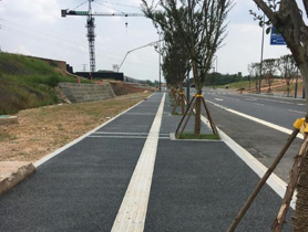 露骨料透水混凝凝土路面