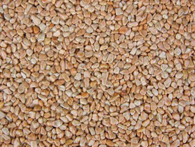 彩色天然胶粘石路面