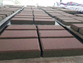 彩色生态透水砖