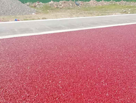 彩色透水混凝土路面